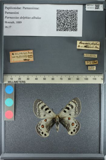 Media type: image;   Entomology 180415